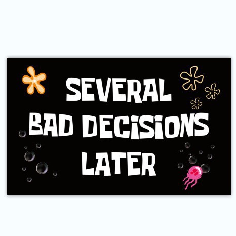 Cool funny wall tapestry flag Several Bad Decisions Later Cool Funny Tapestry Flag 3x5FT Backdrop