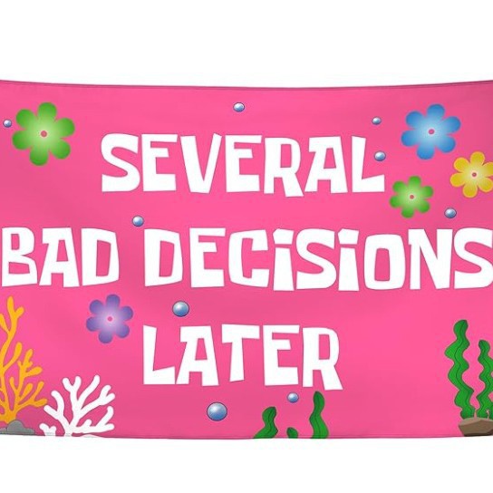 Cool funny wall tapestry flag Several Bad Decisions Later Cool Funny Tapestry Flag 3x5FT Backdrop