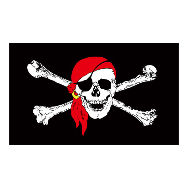 digital printing background cloth 3x5 Ft Jolly Roger Pirate Skull and Crossbones Polyester Flag with Brass Grommets